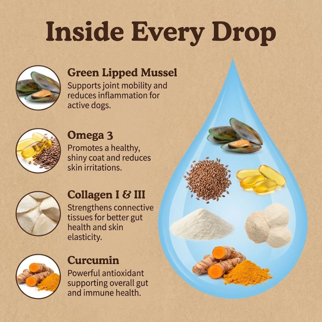 Nooche 9-in-1 Advanced Liquid Collagen