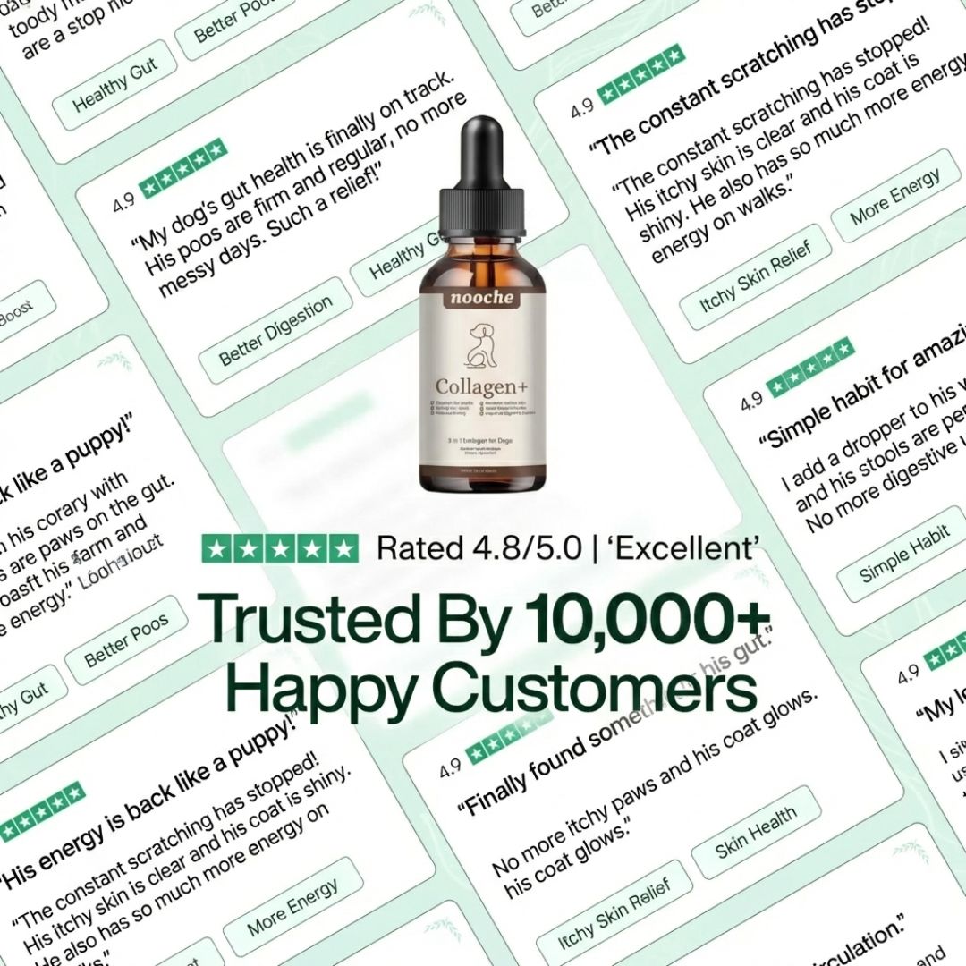 Nooche 9-in-1 Advanced Liquid Collagen