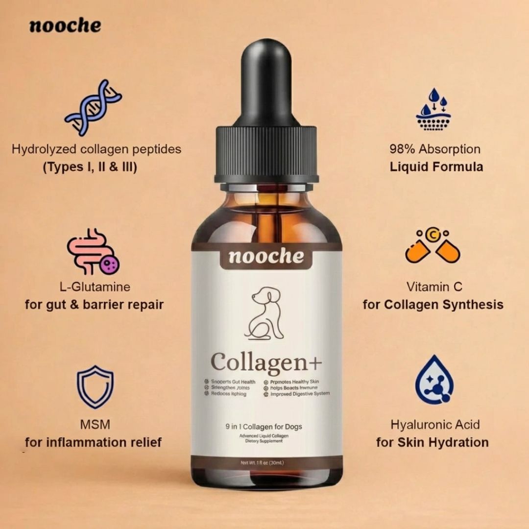 Nooche 9-in-1 Advanced Liquid Collagen