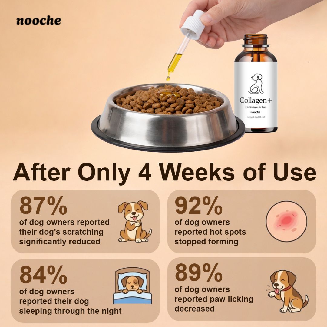 Nooche Premium Collagen Drops
