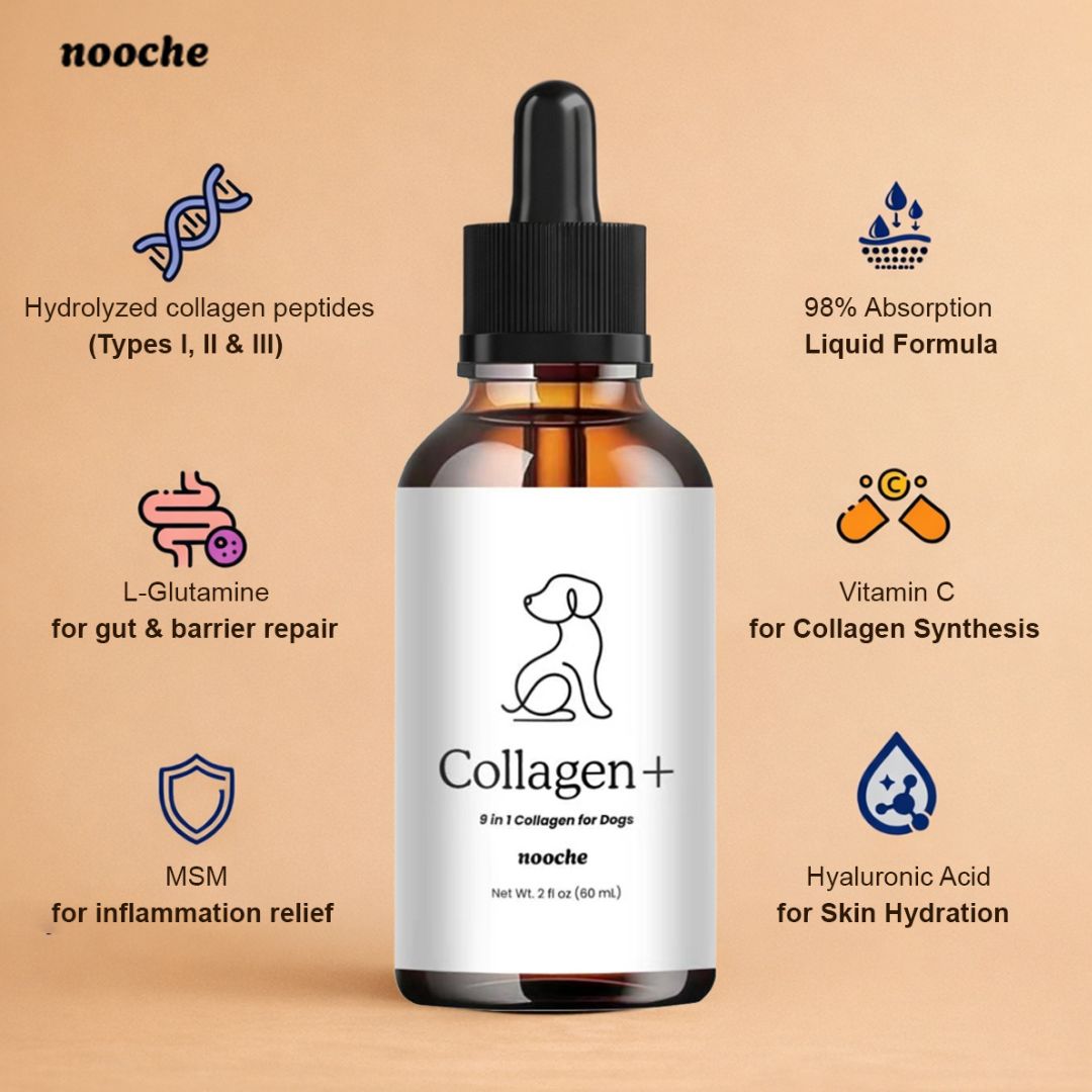 Nooche Premium Collagen Drops