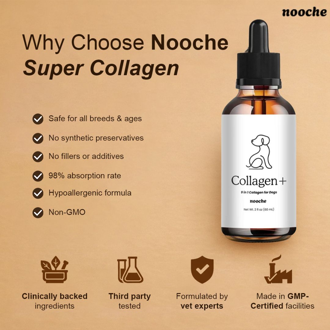 Nooche Premium Collagen Drops