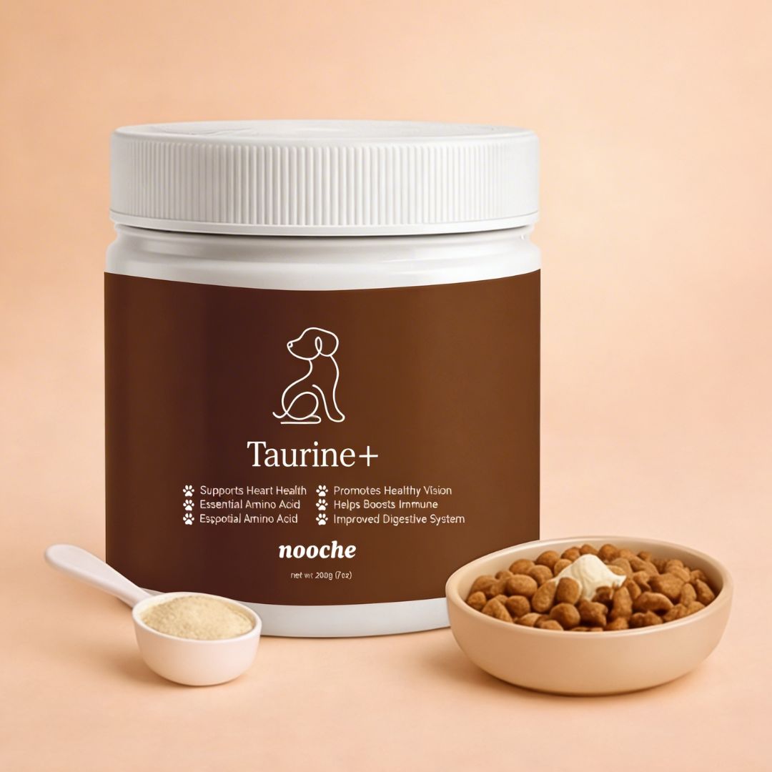 Nooche Taurine+ Supplement