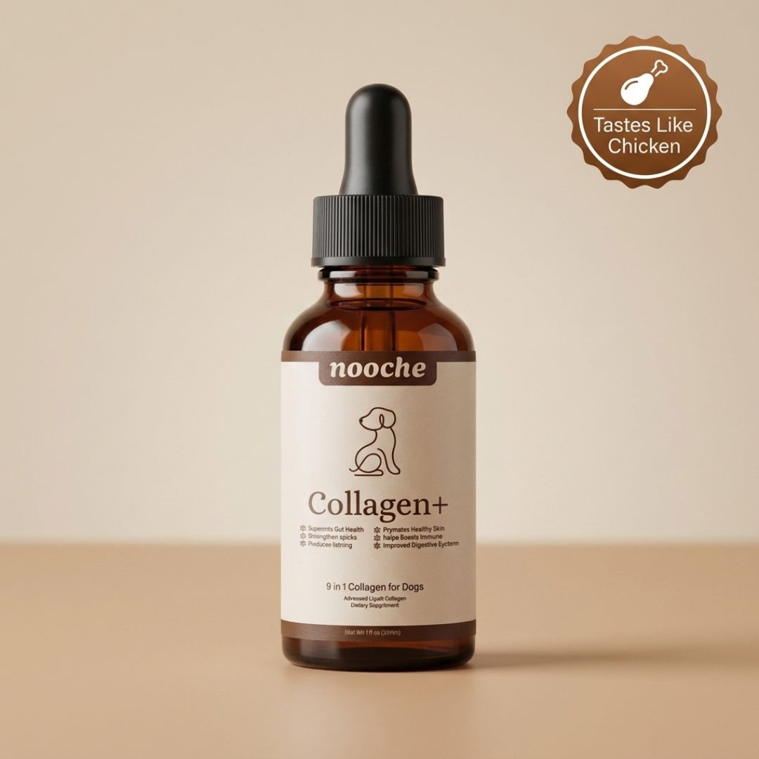 Nooche 9-in-1 Advanced Liquid Collagen