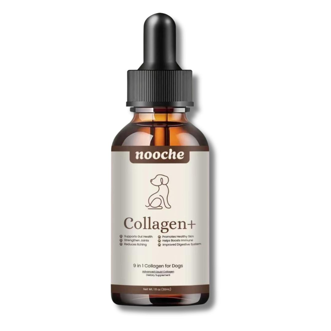 Nooche 9-in-1 Advanced Collagen Supplement