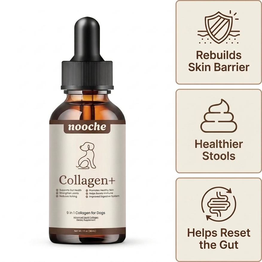 Nooche 9-in-1 Liquid Collagen Drops